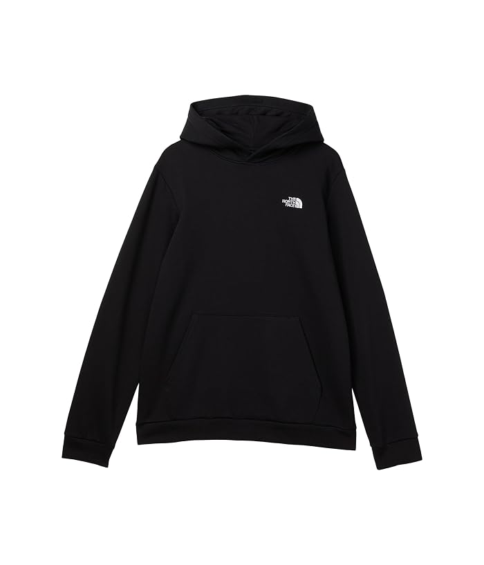The North Face Kids Evolution EMB Pullover Hoodie (Little Kid/Big Kid) - Image 3