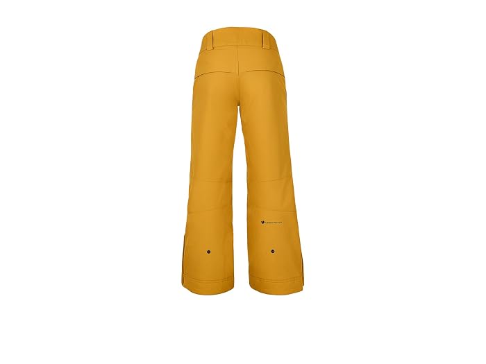 Obermeyer Kids Brisk Pants (Little Kids/Big Kids) - Image 2