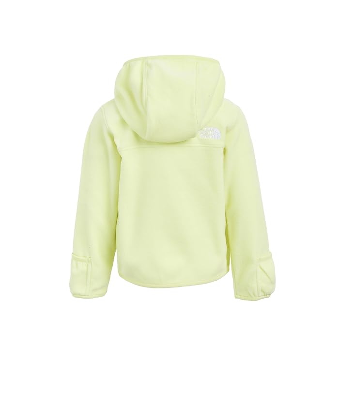 The North Face Kids Glacier Full Zip Hoodie (Infant) - Image 2