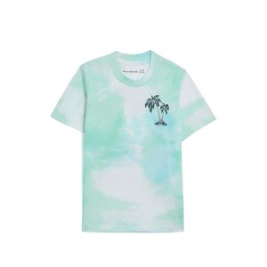 abercrombie kids Palm Springs Tee (Big Kids)