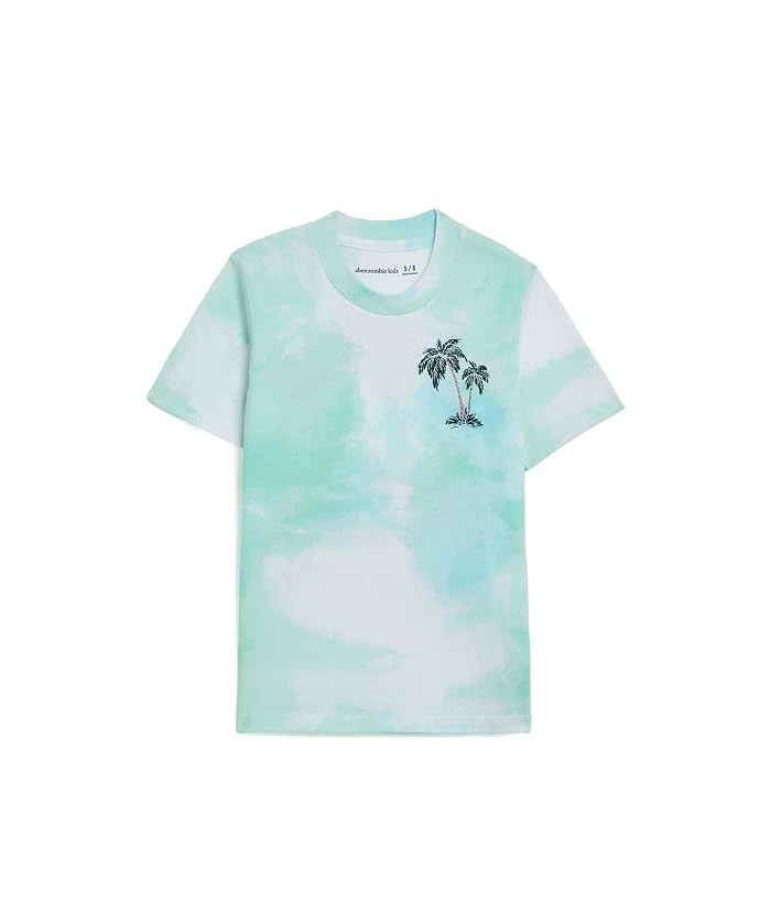 abercrombie kids Palm Springs Tee (Big Kids)