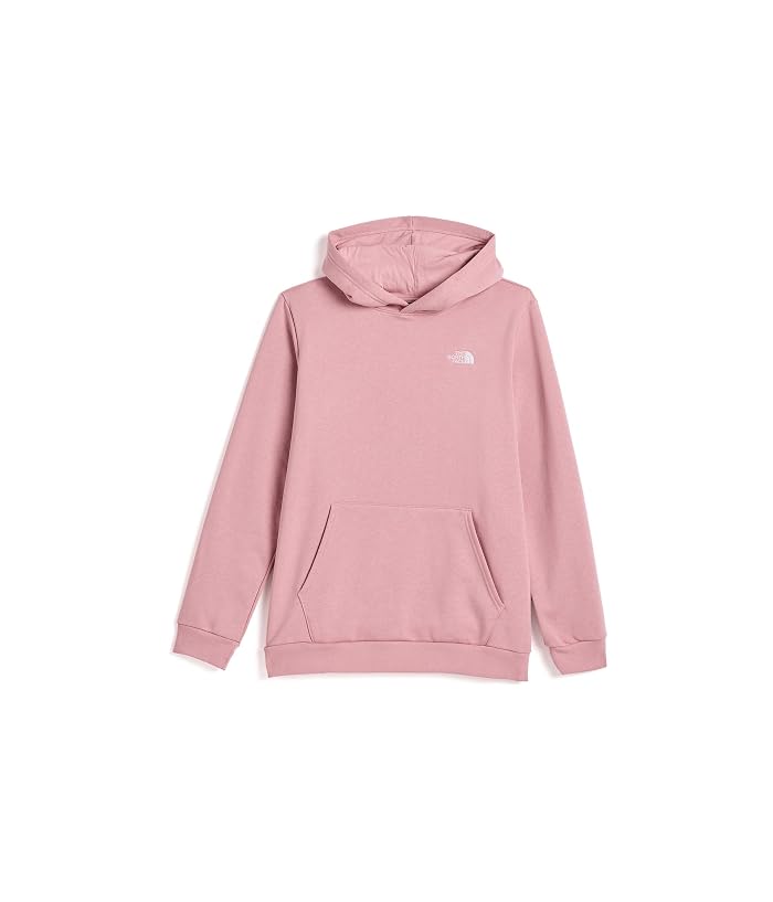 The North Face Kids Evolution Simple Dome Pullover Hoodie (Little Kid/Big Kid) - Image 4