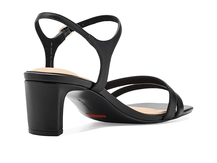 Rockport Teddy - Image 3