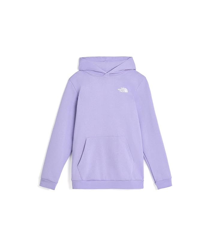 The North Face Kids Evolution Box NSE Pullover Hoodie (Little Kid/Big Kid) - Image 4