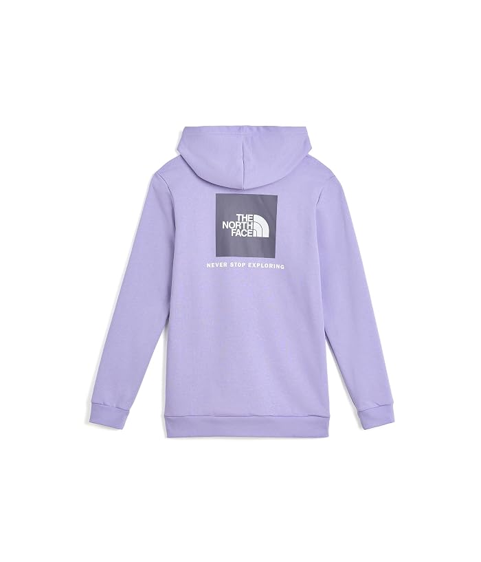 The North Face Kids Evolution Box NSE Pullover Hoodie (Little Kid/Big Kid) - Image 2