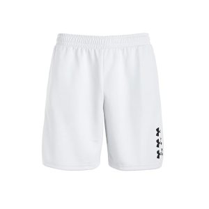 Under Armour Kids Next Gen Shorts (Big Kid)