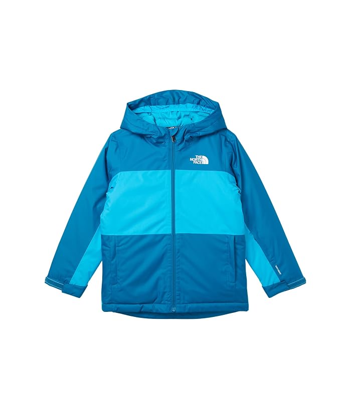 The North Face Kids Freedom Insulated Jacket (Little Kid/Big Kid)
