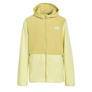 The North Face Kids Glacier Full Zip Hoodie (Little Kid/Big Kid)