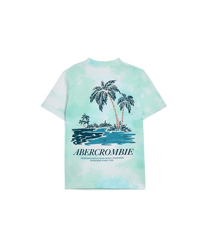 abercrombie kids Palm Springs Tee (Big Kids) - Image 2