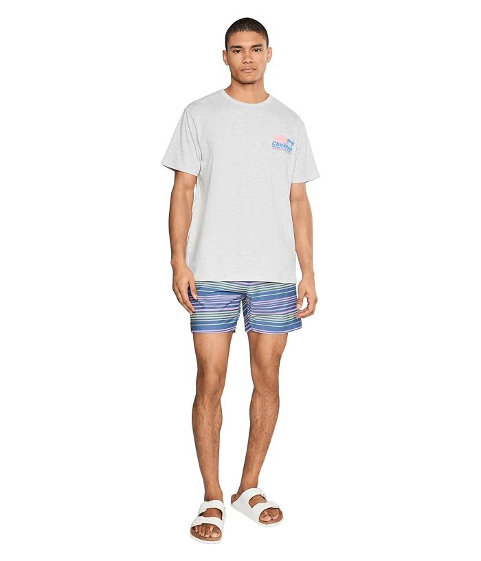 Chubbies The Blossom Bands 5.5" (Classic Lined Swim Trunks) - Image 2