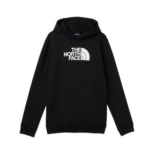 The North Face Kids Evolution Half Dome Pullover Hoodie (Little Kid/Big Kid)