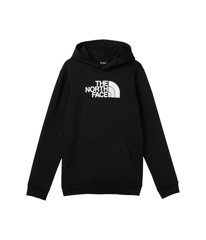 The North Face Kids Evolution Half Dome Pullover Hoodie (Little Kid/Big Kid)