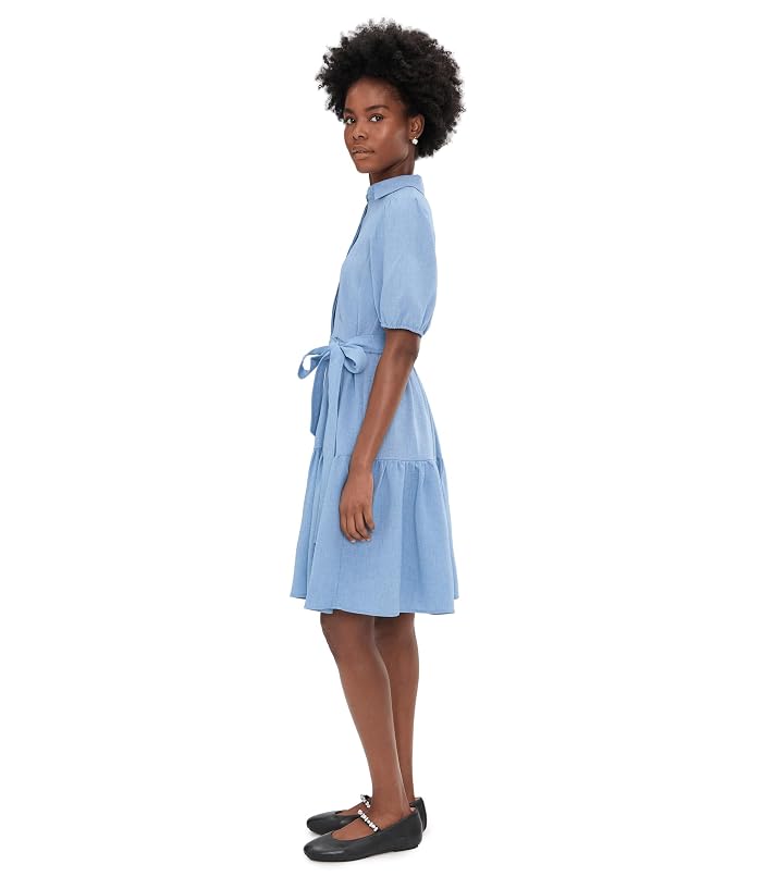 Calvin Klein Puff Sleeve Self Tie Tencel Ruffled Aline - Image 3