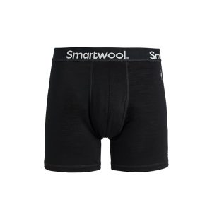 Smartwool Everyday Merino Boxer Brief Boxed