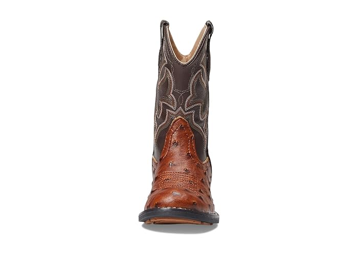 Roper Kids Cody Lights (Toddler/Little Kid) - Image 2