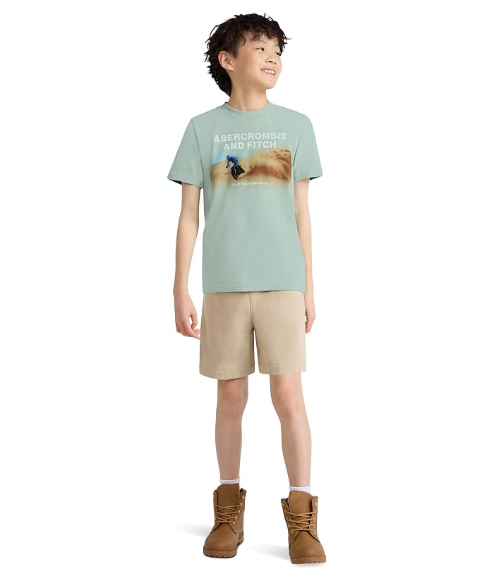 abercrombie kids Dune Biker Tee (Big Kids) - Image 2