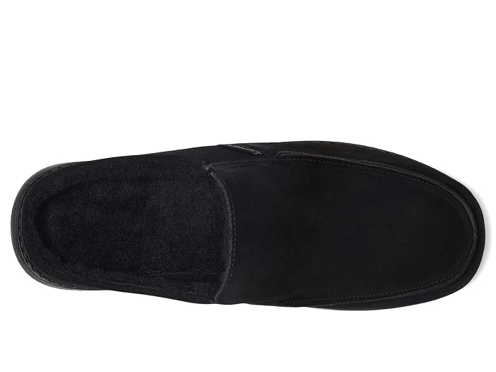 Bearpaw Joel - Image 2