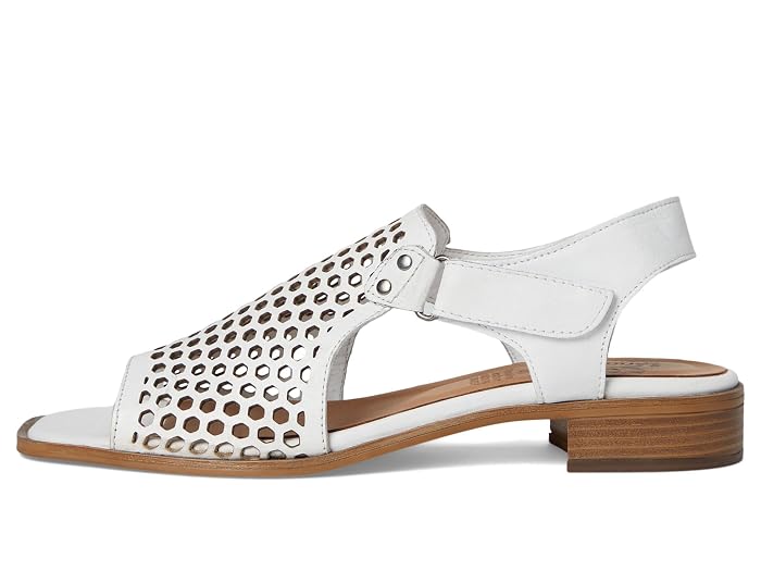 Spring Step Gosset - Image 2