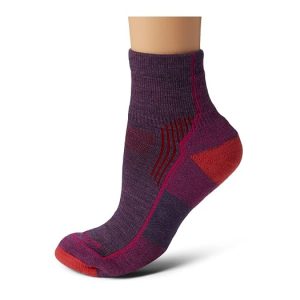 Darn Tough Vermont Hiker 1/4 Socks Cushion
