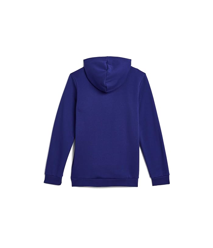 The North Face Kids Evolution Simple Dome Pullover Hoodie (Little Kid/Big Kid) - Image 2