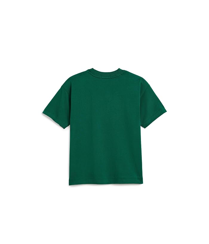 Polo Ralph Lauren Kids Big Fit Logo Cotton Tee (Toddler/Little Kid) - Image 2