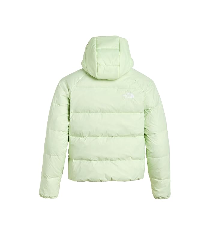 The North Face Kids Hydrenalite™ Down Hooded Jacket (Little Kid/Big Kid) - Image 2