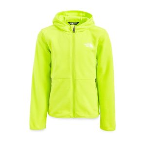 The North Face Kids Glacier Full Zip Hoodie (Toddler)