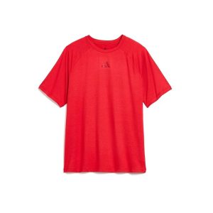 adidas Kids Raglan Poly Tee (Big Kid)