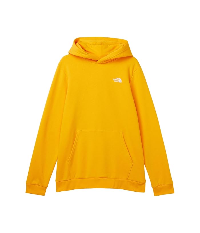 The North Face Kids Evolution EMB Pullover Hoodie (Little Kid/Big Kid) - Image 2
