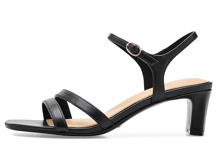 Rockport Teddy - Image 4