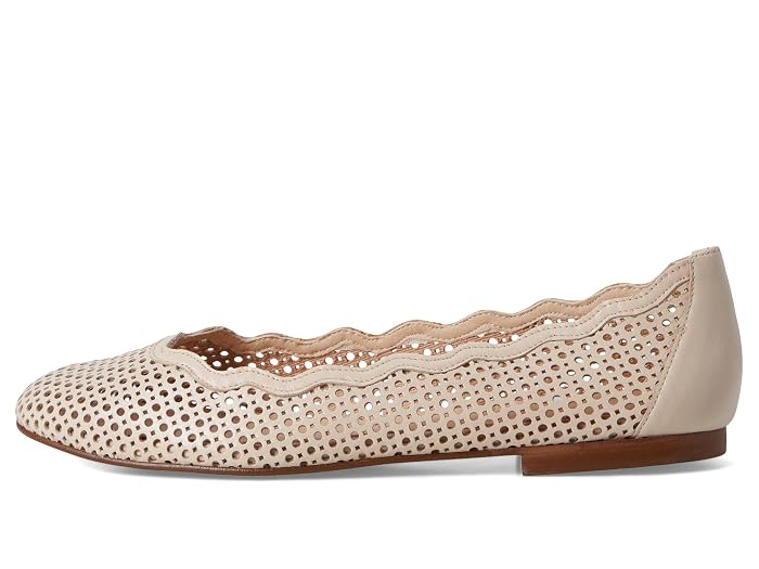 French Sole Nymph - Image 3