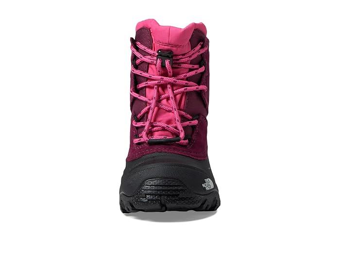 The North Face Kids Alpenglow V Waterproof (Toddler/Little Kid/Big Kid) - Image 2