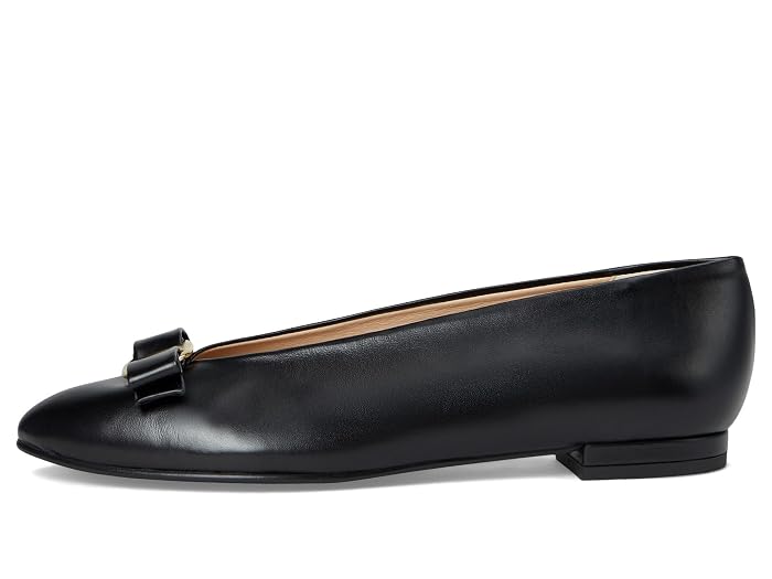 French Sole Orbit