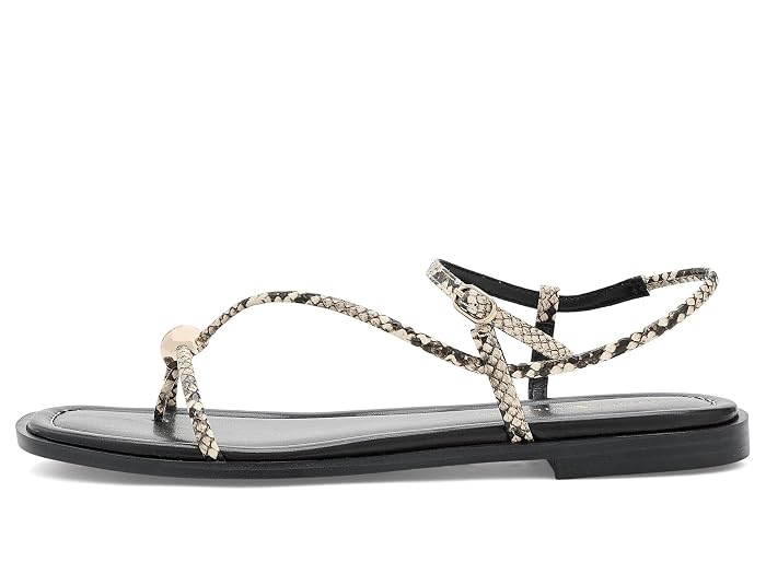 Tommy Hilfiger Taras - Image 3