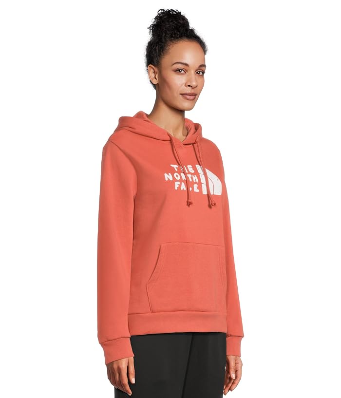 The North Face Evolution Sketch Logo Half Dome Hoodie - Graphic - Image 2