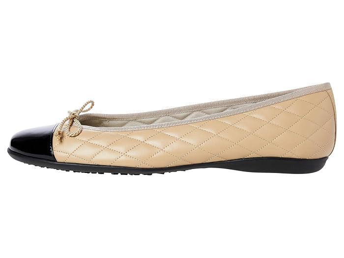French Sole PassportR Flat - Image 4