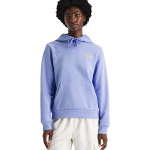 The North Face Explore Pin Regular Hoodie