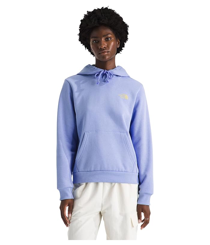 The North Face Explore Pin Regular Hoodie