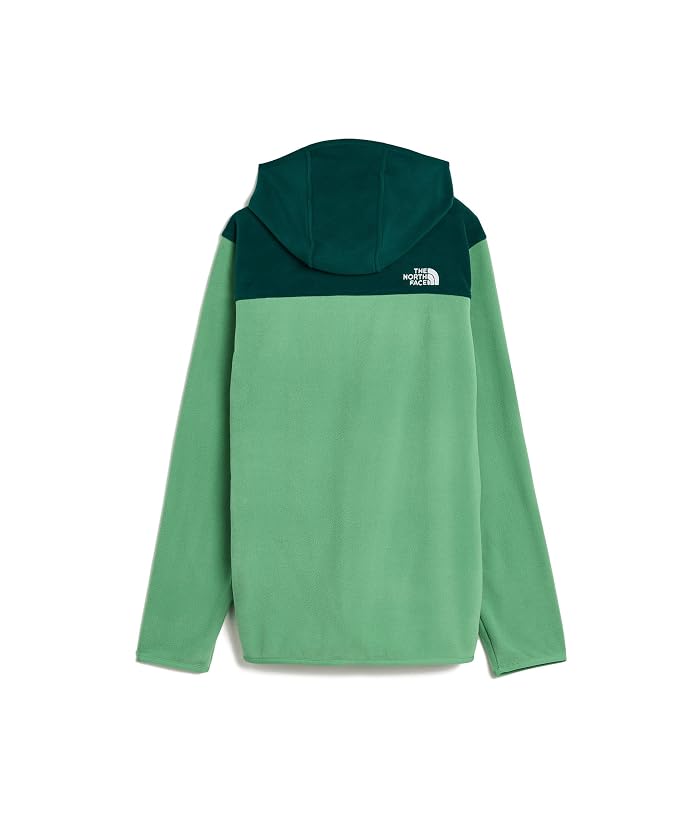 The North Face Kids Glacier Full Zip Hoodie (Little Kid/Big Kid) - Image 2