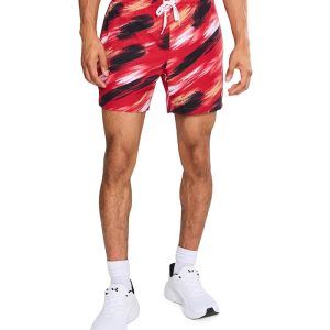 Chubbies The Color Blitz 49ers 5.5" (Classic Lined Swim Trunks)