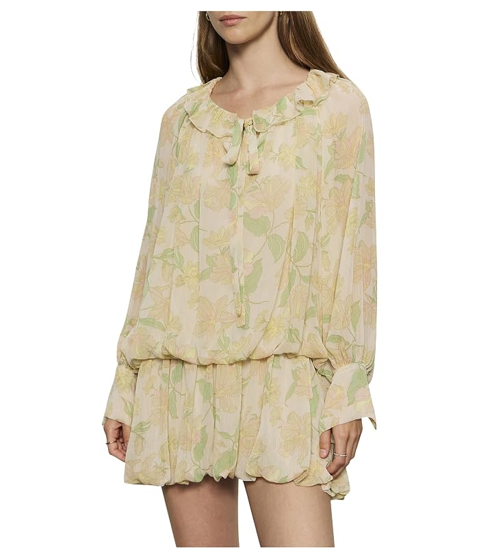 Sanctuary Sheer Elegance Bubble Dress
