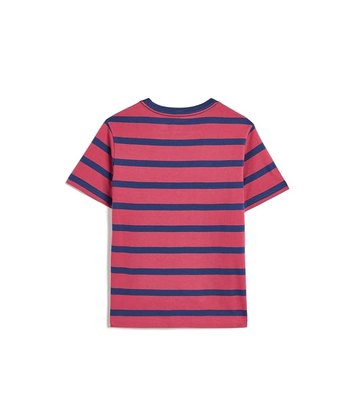 Polo Ralph Lauren Kids Striped Cotton Jersey Tee (Toddler/Little Kid) - Image 2