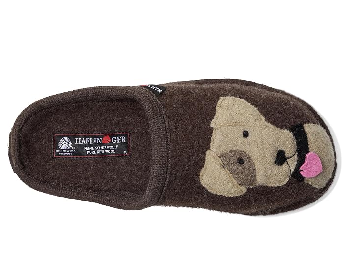 Haflinger Rudi - Image 2