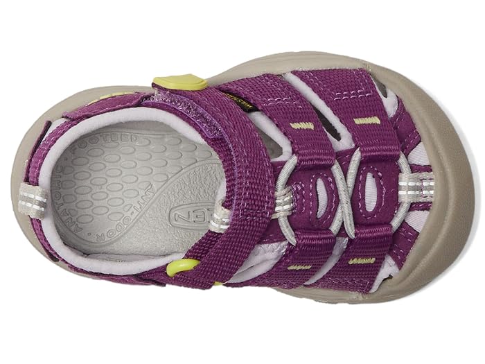 KEEN Kids Newport H2 (Toddler) - Image 2