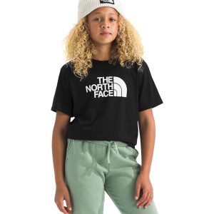 The North Face Kids Evolution Half Dome Short Sleeve Tee (Little Kid/Big Kid)