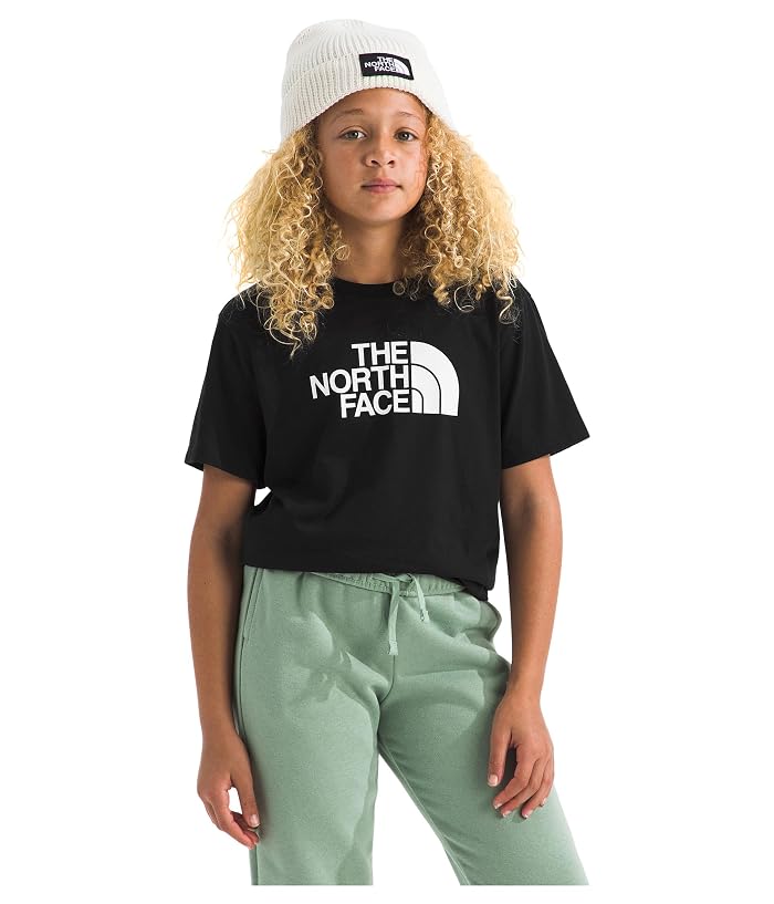 The North Face Kids Evolution Half Dome Short Sleeve Tee (Little Kid/Big Kid) - Image 4
