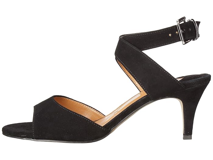 J. Renee Soncino - Image 2