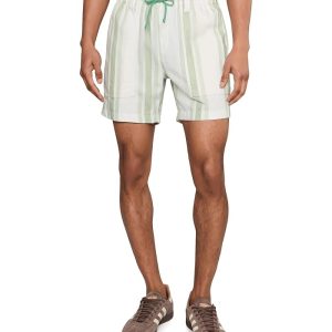 Chubbies The Stripe Teases (Off-Duty Shorts)