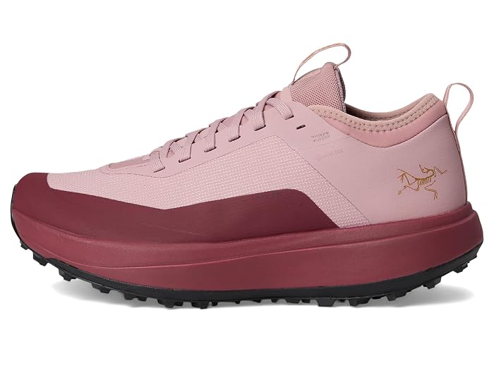 Arc'teryx Sylan GTX