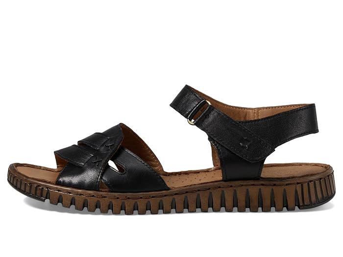 Spring Step Nochella